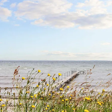 12 Person In Vakantiehuis *