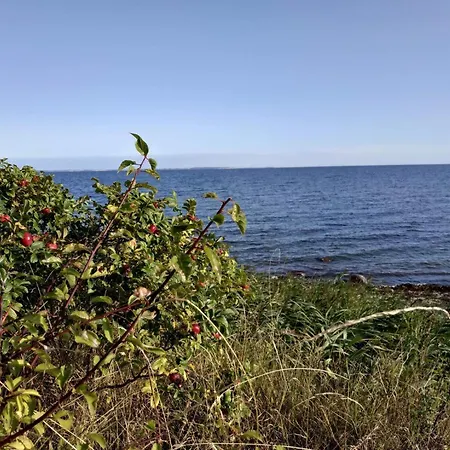 12 Person In Vakantiehuis